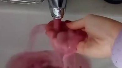 Photo of “Miracolo” nel Modenese: dai rubinetti sgorga Lambrusco
